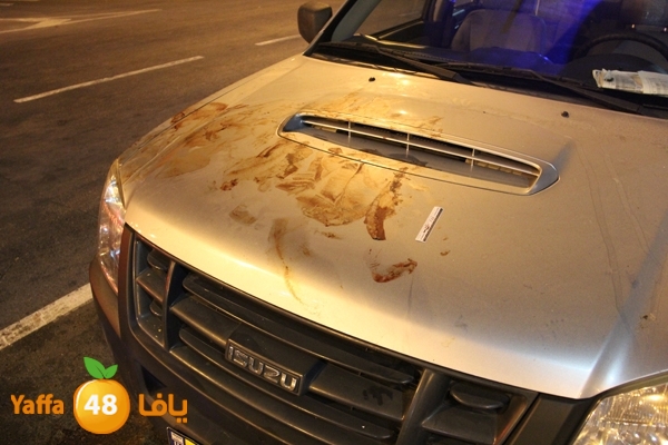 ta3n nwslogyem819 (3).jpg